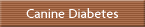 Canine Diabetes