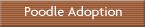 Poodle Adoption